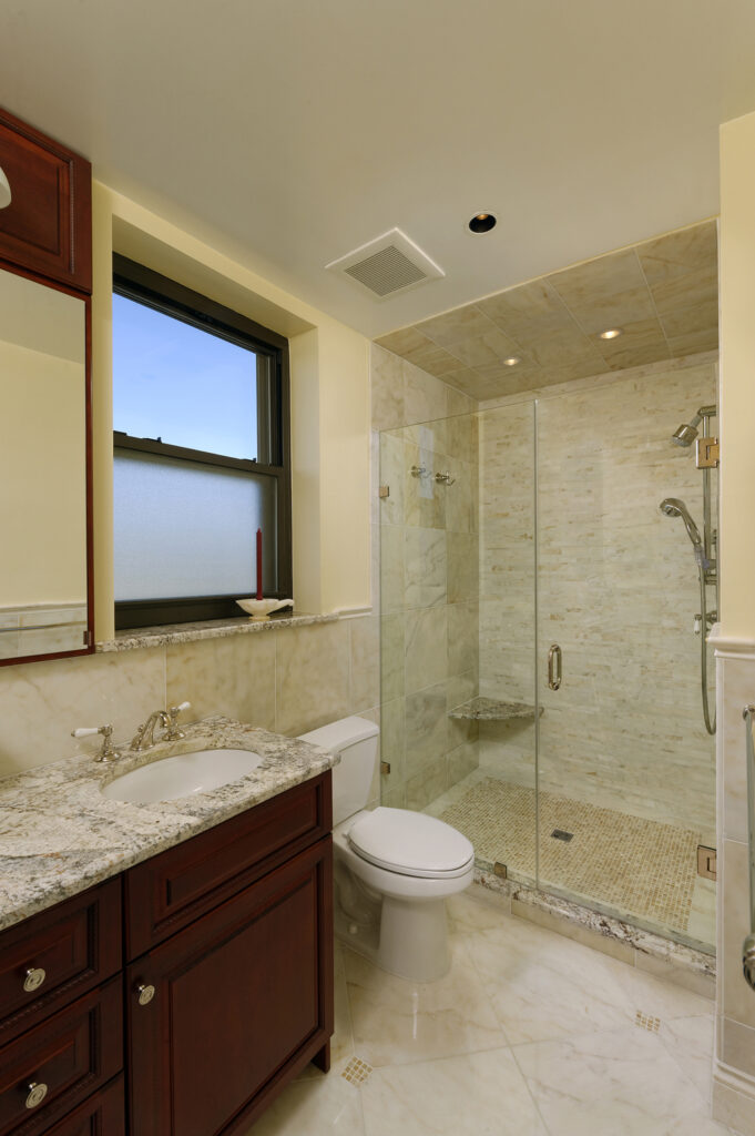 Arlington VA Condo Renovation Bathroom | Primary Baths & Bathrooms