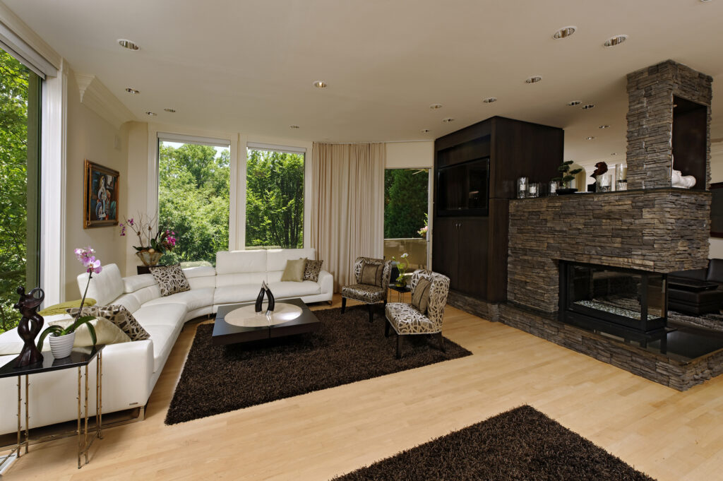 Washington DC Contemporary Interior Renovation Living Room | Living, Family & Sun Rooms