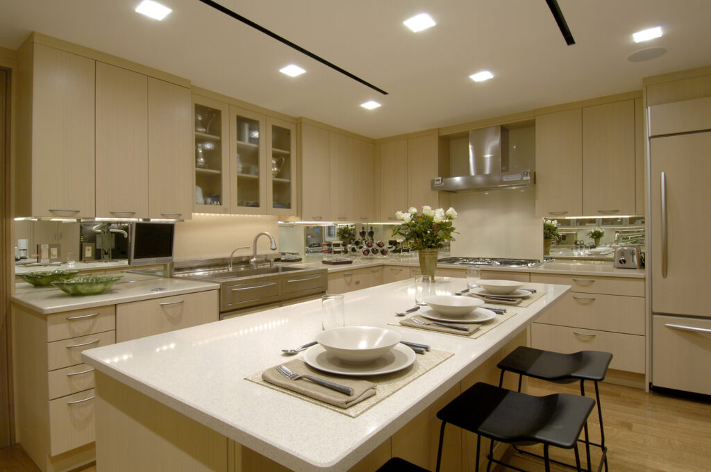Washington DC Condo Renovation Kitchen | Condominiums