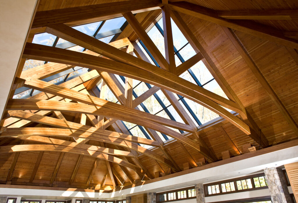 Potomac MD Indoor Pool Addition Renovation Timberframe Roof | Rustic / Timberframe