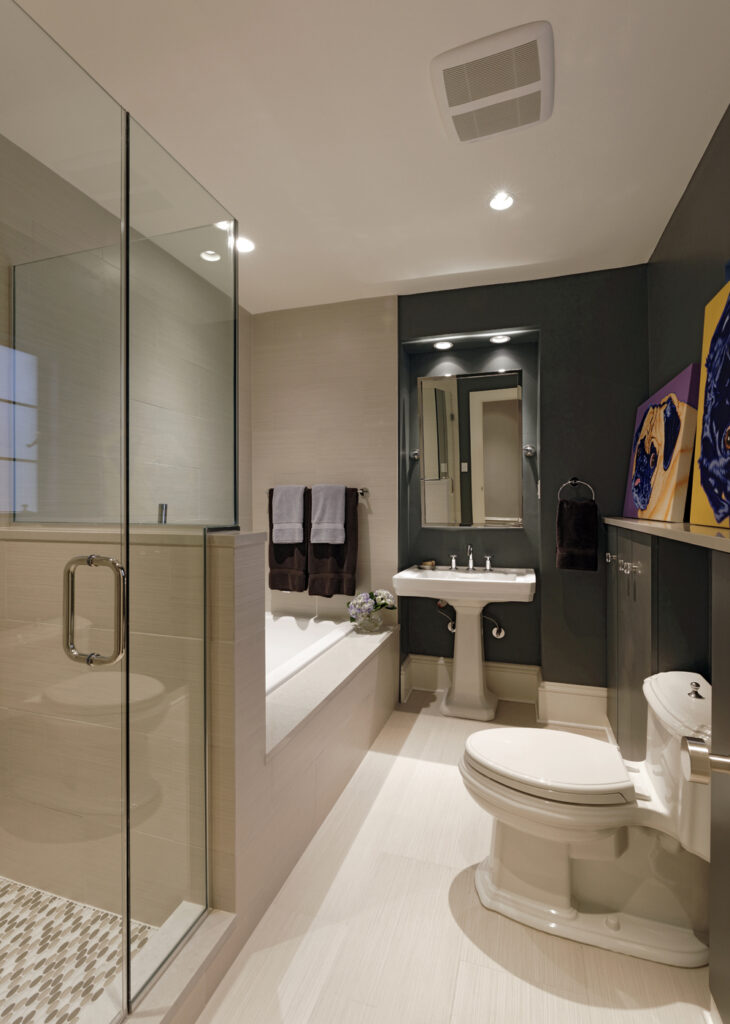 Washington DC Whole Condo Renovation Bathroom | Condominiums