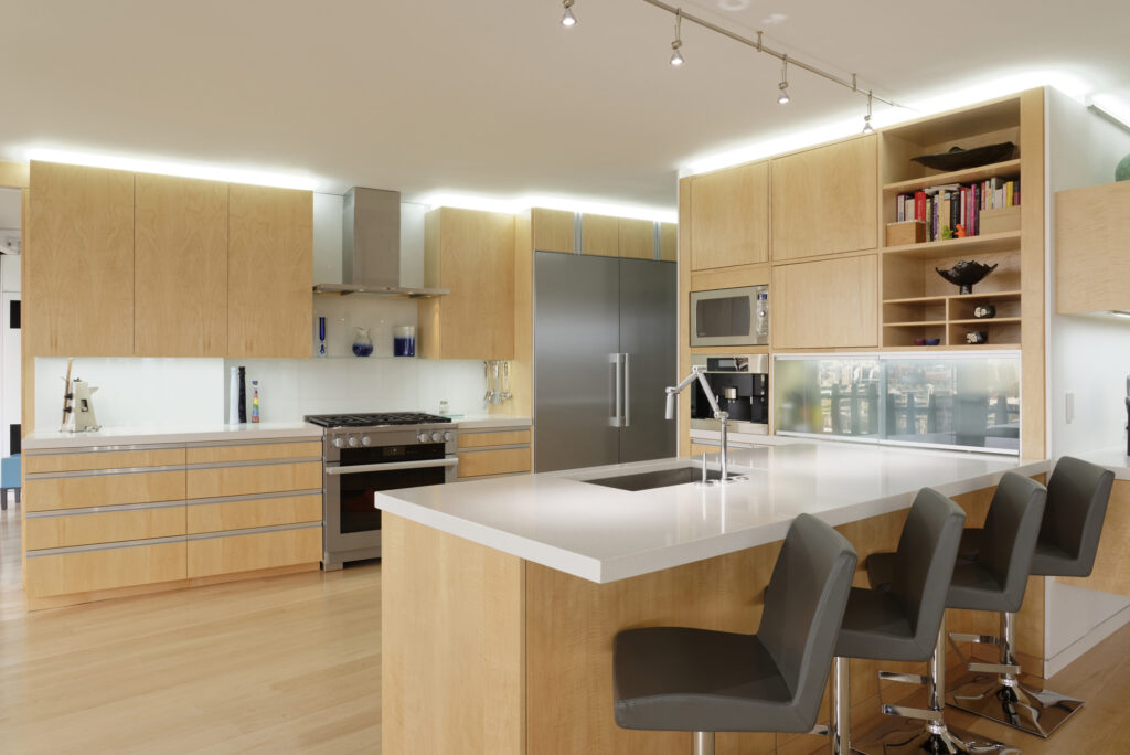 BOWA Design Build Contemporary Condominium Renovation in DC | Condominiums