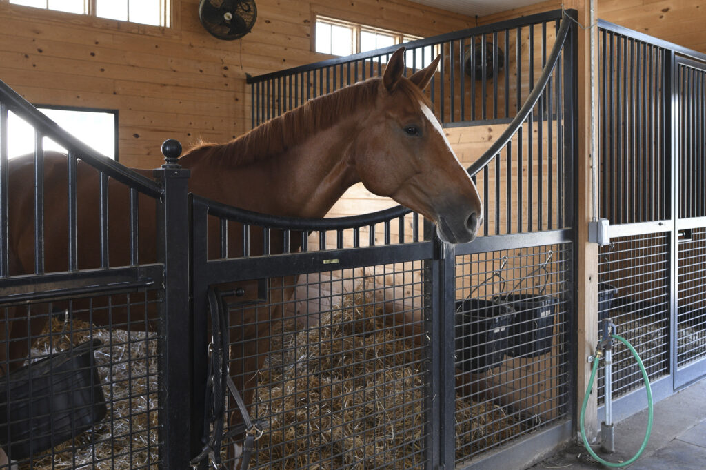 Middleburg Barn Complex | Barns & Equestrian